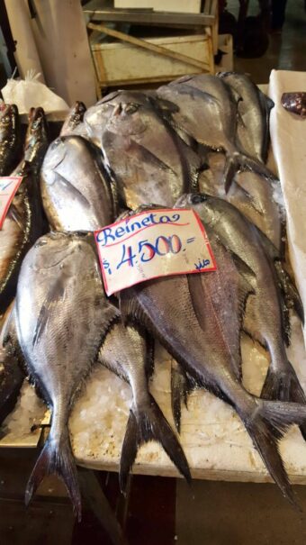 reineta mercado central chile