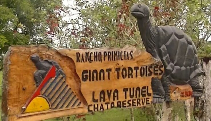 Giant tortoises El Chato Tour Galapagos