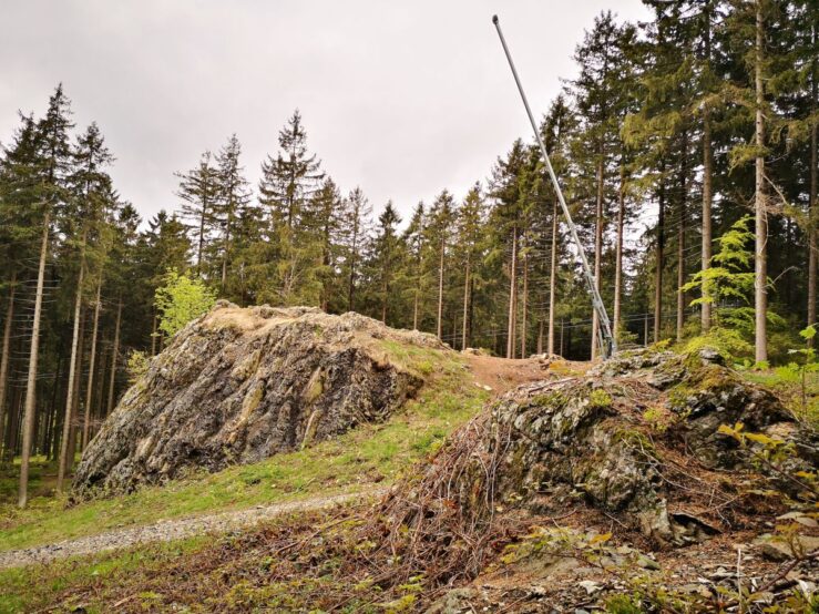 hike in the Harz Mountains