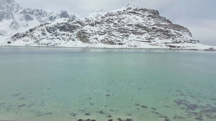 Svolvaer coral seabed near Ramberg