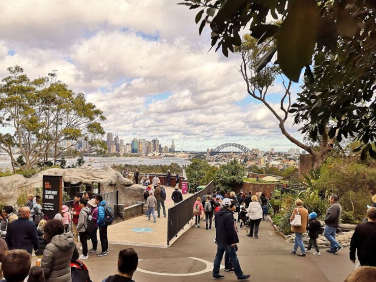 Taronga Zoo best things to do in Sydney
