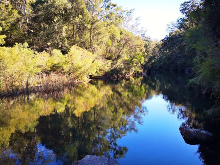 Aboriginal art in the Blue Mountains Australia