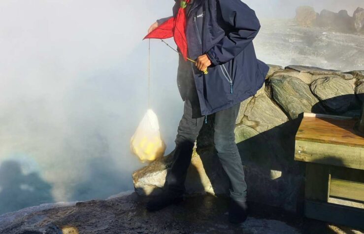 corn in the thermal pool
