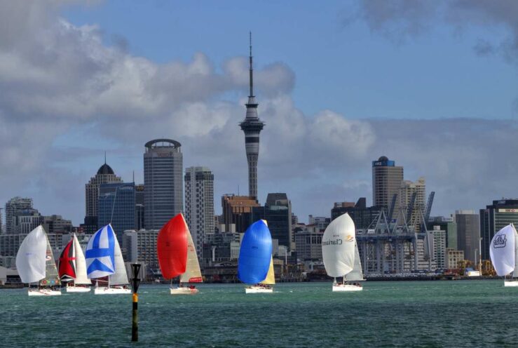 Cities Things to Do in New Zealand North Island