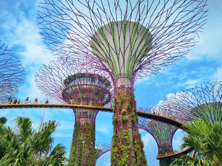 What to do in Singapore visit Gardens by the Bay