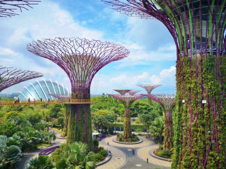 Things to Do in Singapore - Tourist Attractions Gardens by the Bay