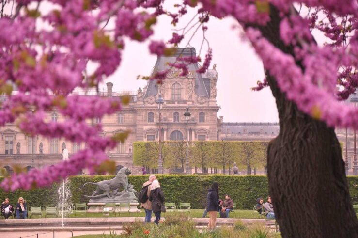 Les Tuileries