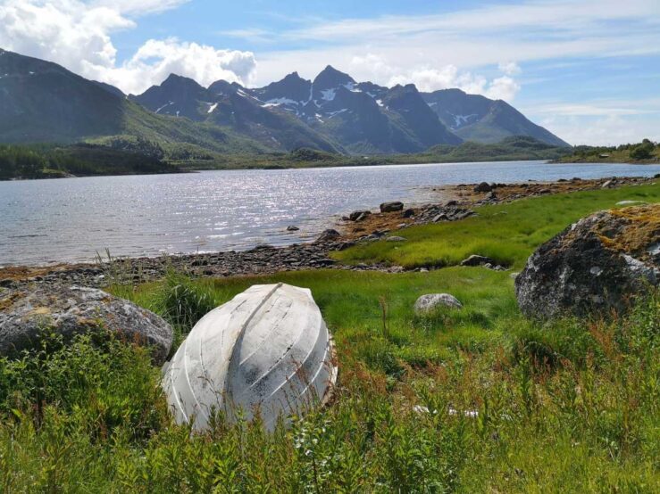 panoramic fjord view