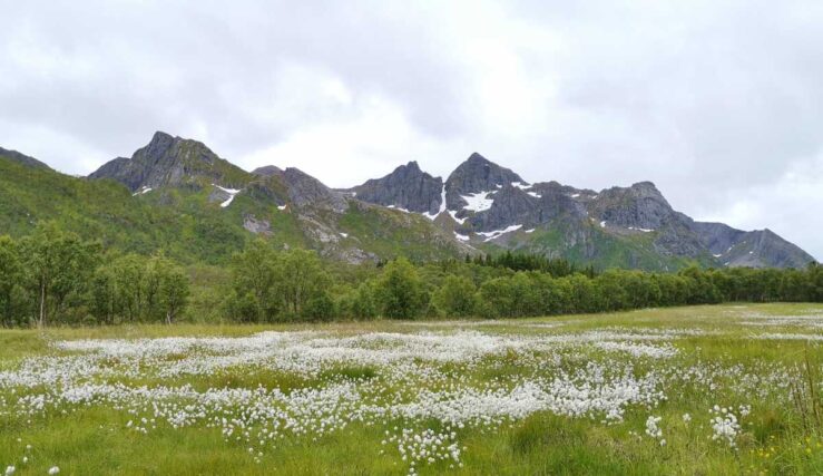 mountains