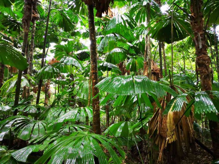 Itinerary Queensland in Australia