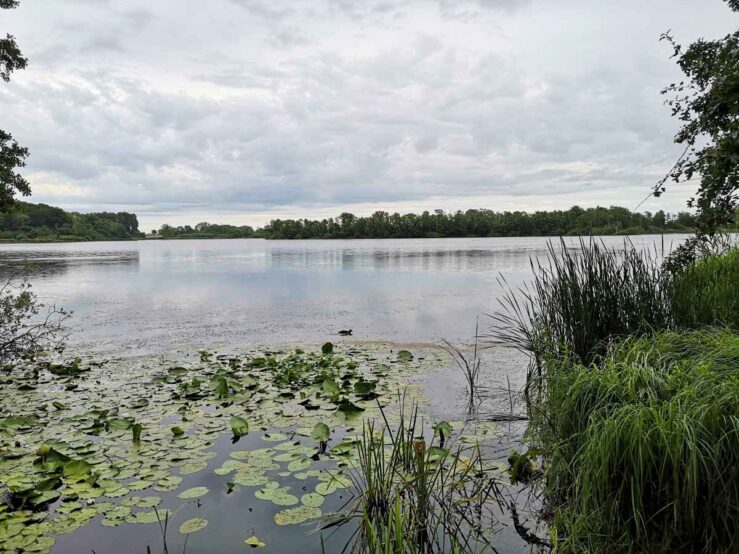 Road trip in Southern Denmark Islands Maribo Lakes