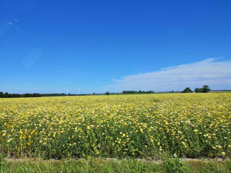 Lolland