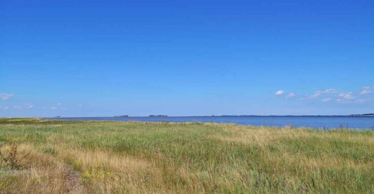 Lolland, Albuen