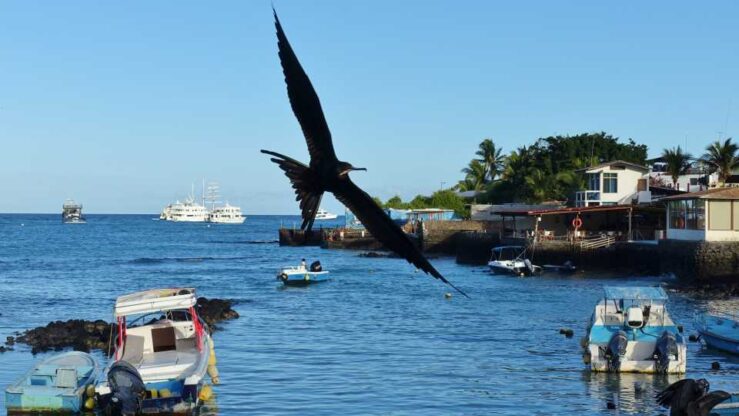 Flight to Galapagos Baltra Island