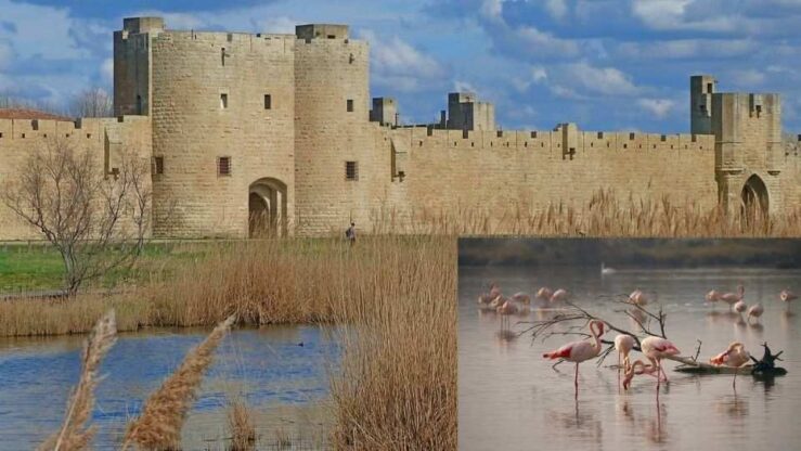 Explore Medieval Aigues-Mortes at Camargue, South of France
