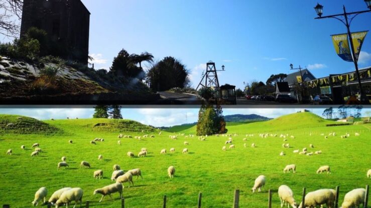 Cities Things to Do in New Zealand North Island in 8 Days