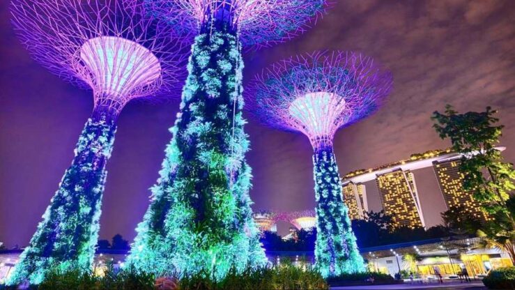 What to Do in Singapore: Visit Gardens by the Bay