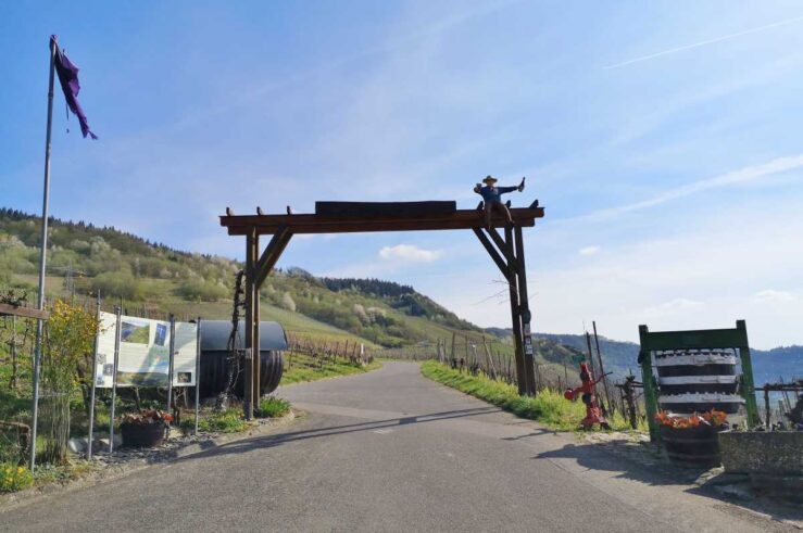 Moselle Valley Moselle River Road Trip Wintrich