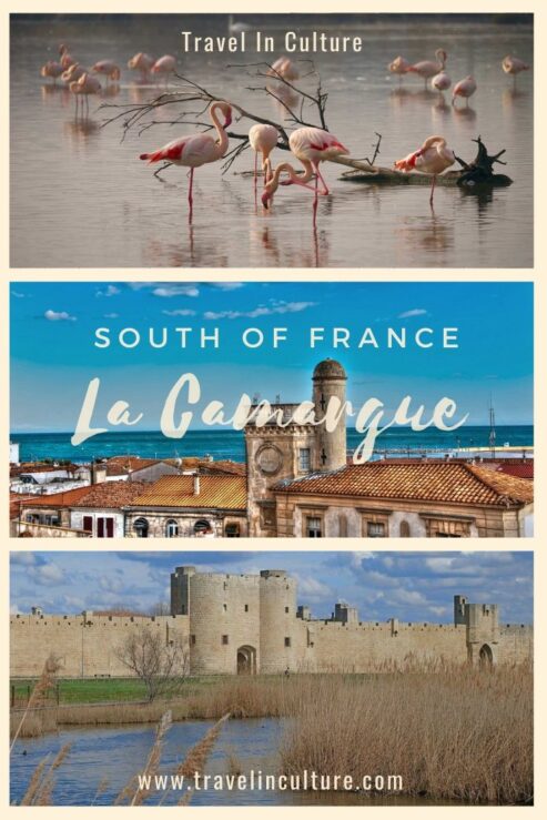 Explore Aigues-Mortes at Camargue, South of France