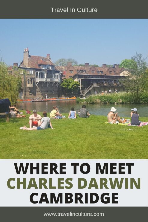 Which Cambridge Museum to Meet Charles Darwin