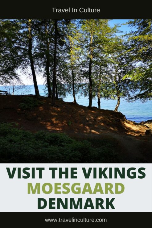 Danish Vikings & Viking Kings Around Moesgaard Museum