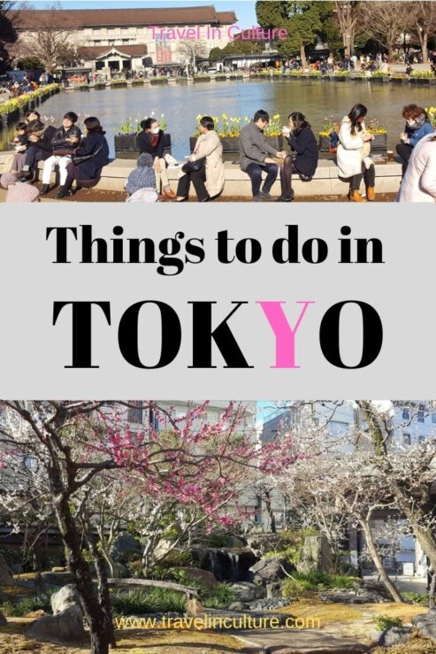 Where to Watch Sumo Tokyo