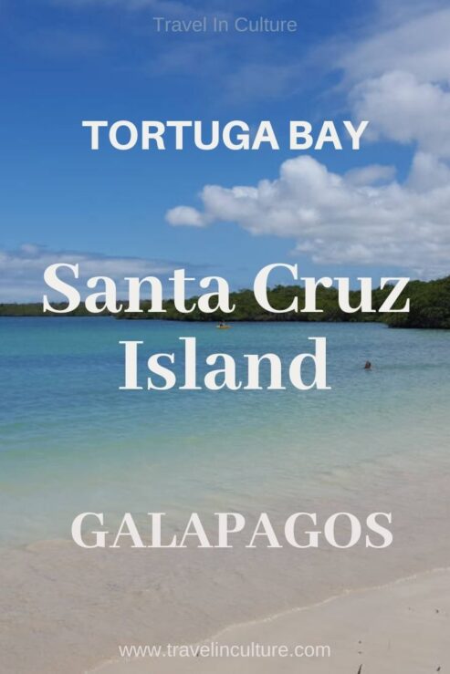 Galapagos Animals and Darwin’s Birds – Tortuga Bay