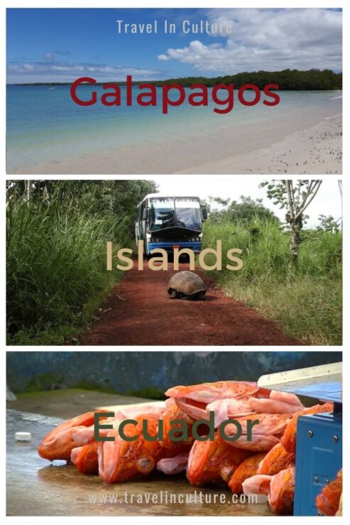 How to Arrive in Galapagos via Baltra Island