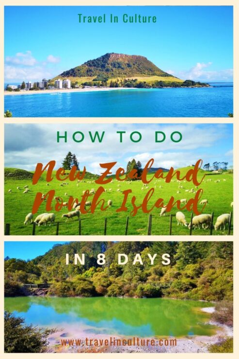 Cities & Things to Do in North Island New Zealand