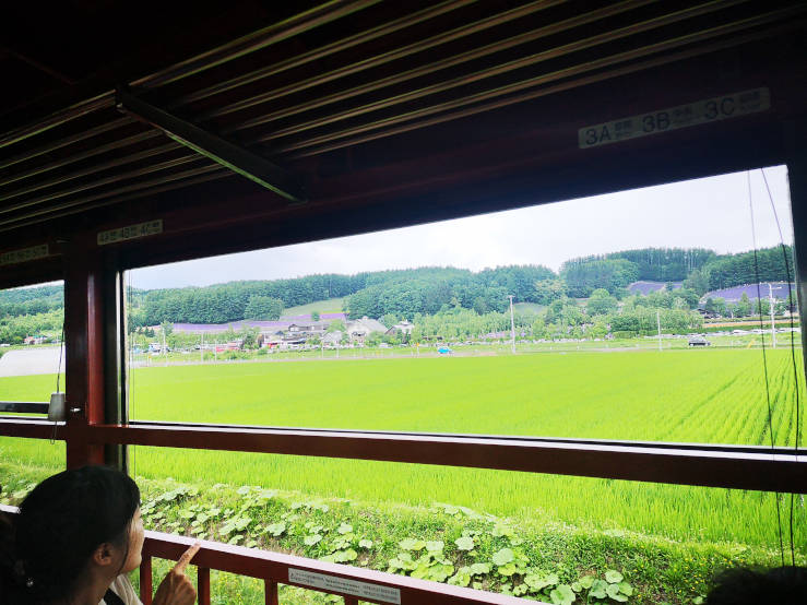 Lavender train Hokkaido