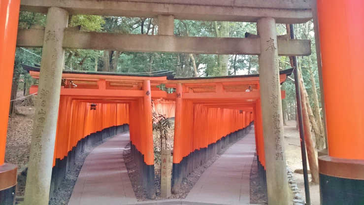 Fushimi Inari Shrine Kyoto. Tokyo to Kyoto by train
