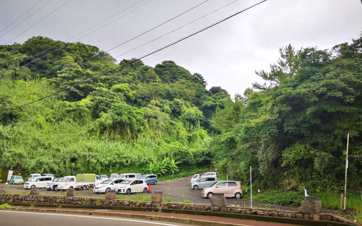 lush vegetation at Sakurajima Volcano