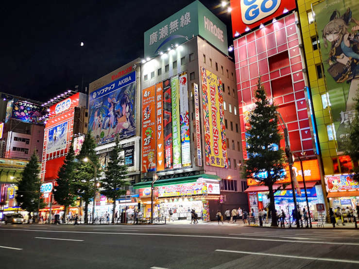 Colorful neon signs illuminating anime and electronics stores in Akihabara, Tokyo