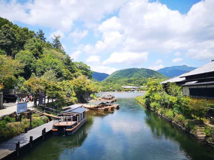 Arashiyama Bamboo Grove Kyoto Forest