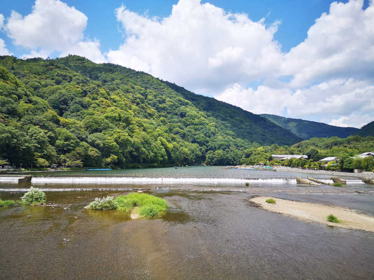 Arashiyama Bamboo Grove Kyoto Forest