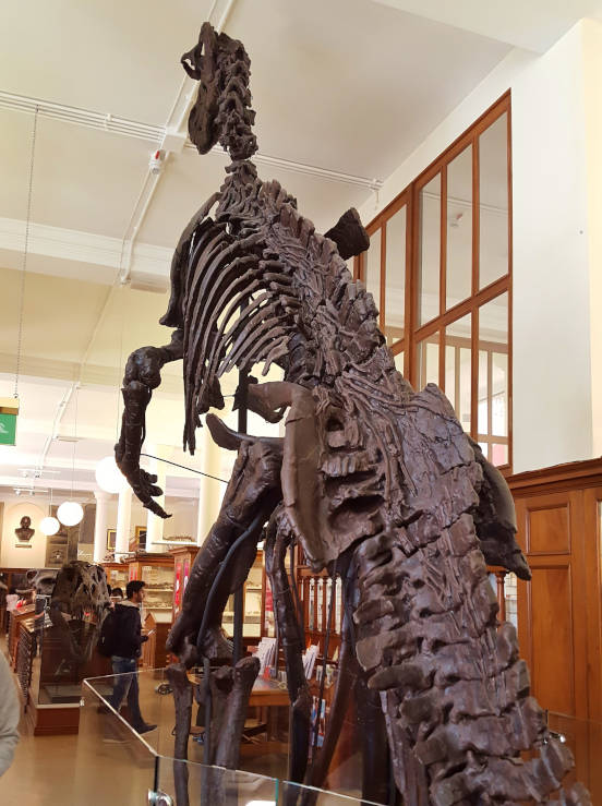 Sedgwick Museum of Earth Sciences