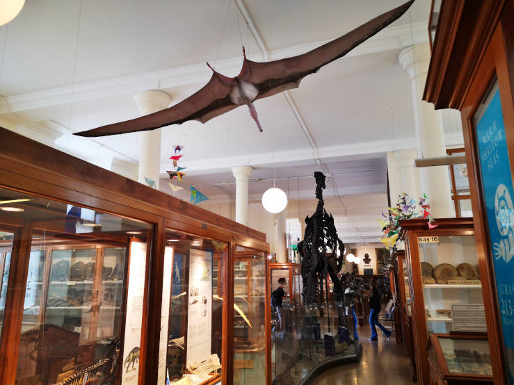 Sedgwick Museum of Earth Sciences