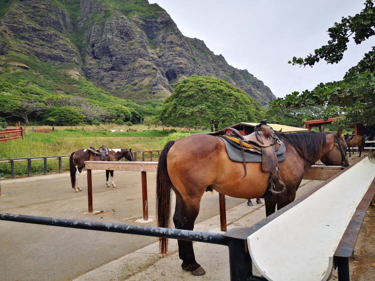 Kualoa Ranch Jurassic Valley Park