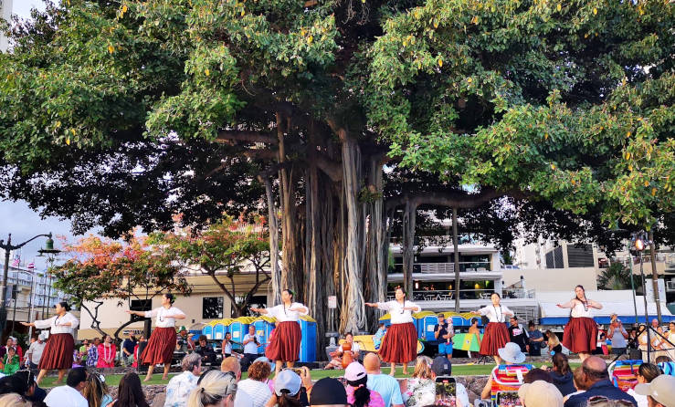 hula dance dancing show performance