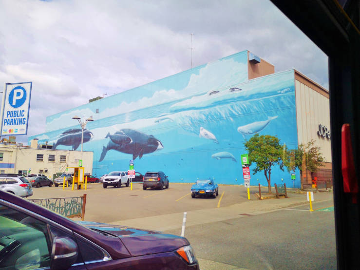 mural sealife