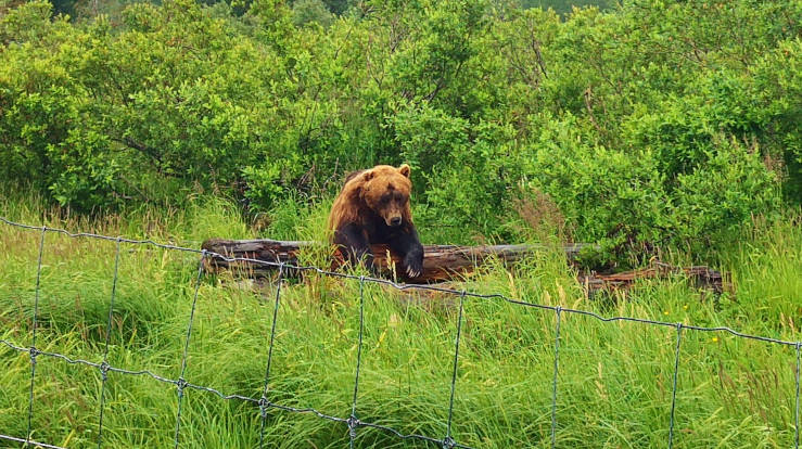 Where to stay in Anchorage Alaska cruise
