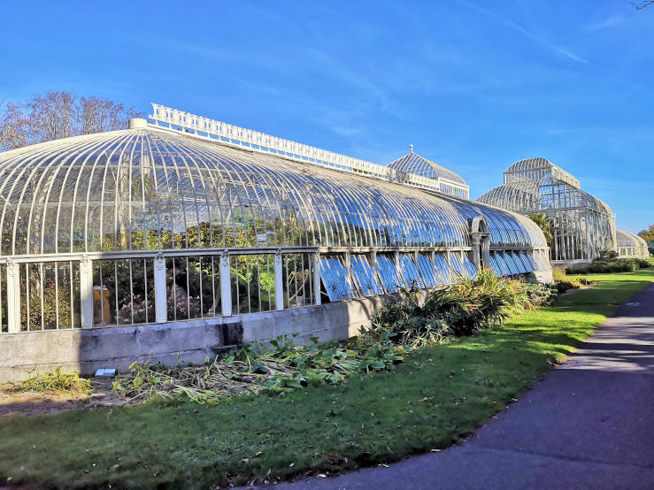 Botanic Gardens greenhouse