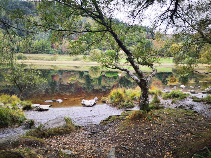 Wicklow Mountains National Park