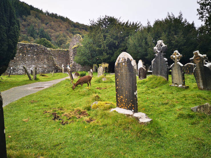 Glendalough Wicklow Ireland