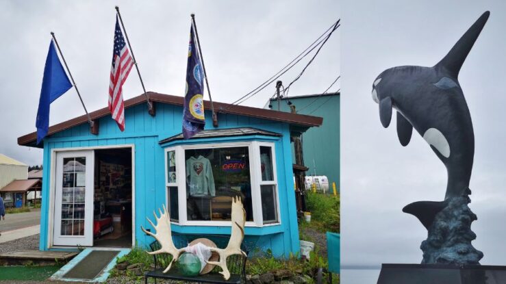Icy Strait Point Whale Watching Hoonah Alaska