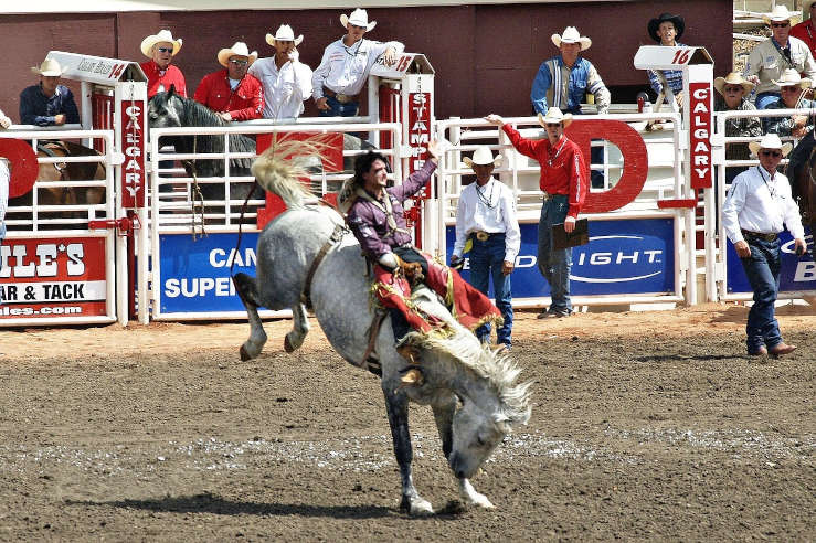 Canadian rodeo