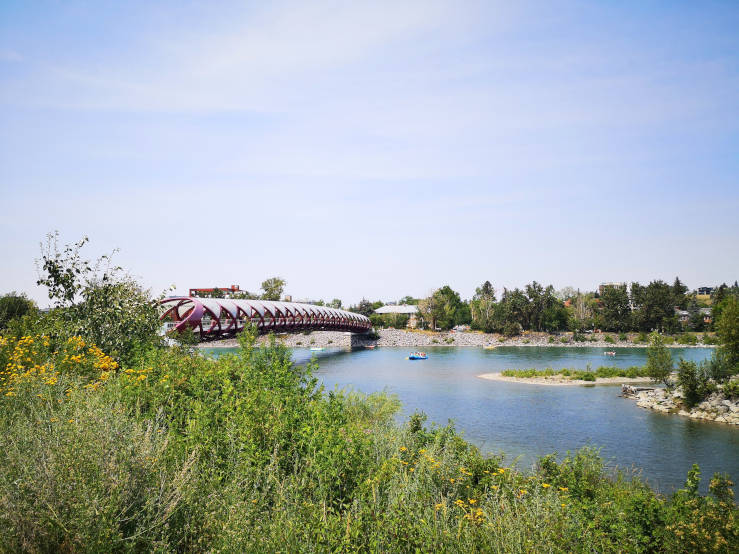 Peace Bridge things do Calgary