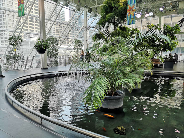 Devonian Gardens Core shopping centre