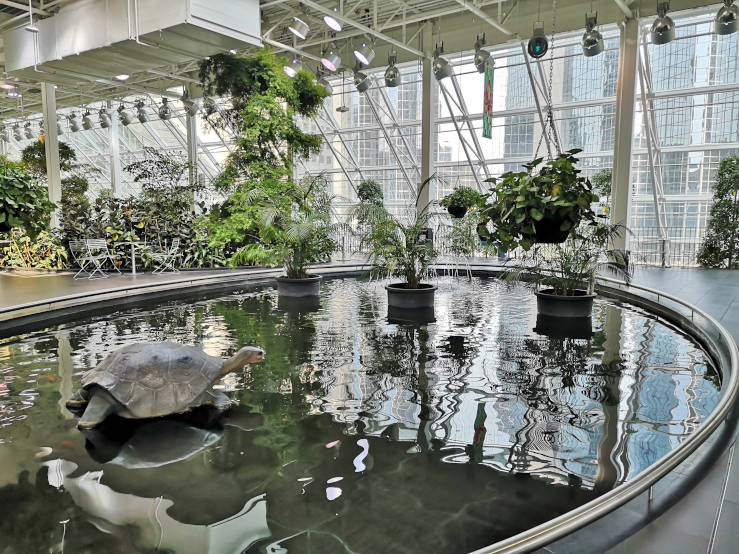 Devonian Gardens Core shopping centre