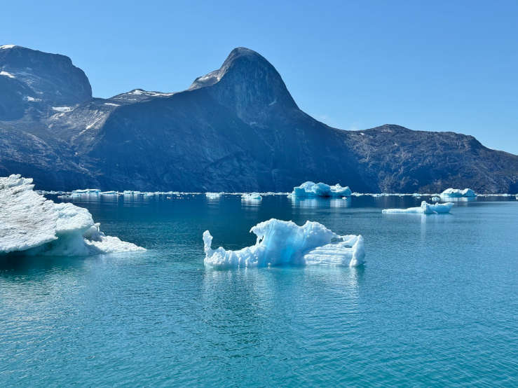 Greenland icebergs floating